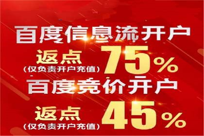 案例解读：SEM代理助力电商销量翻倍